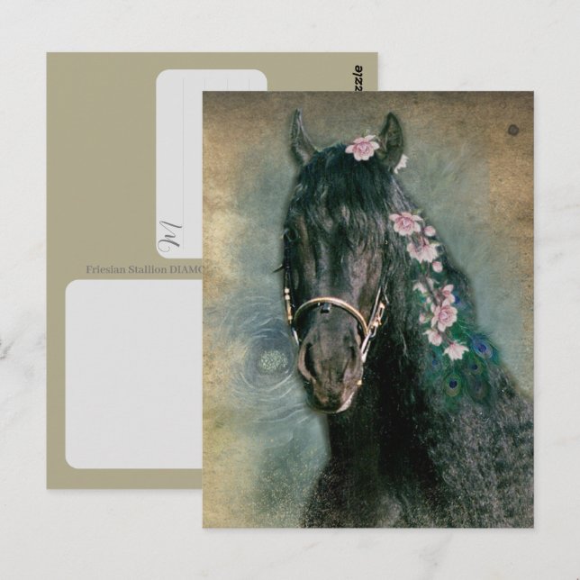 Friesisches Pferd - Postkarte (Vorne/Hinten)