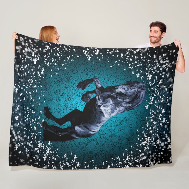Friesisches Pferd, schwarzer Hengst, Schnee, blau Fleecedecke (Beispiel)