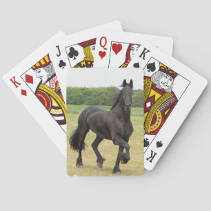 Friesisches Pferdekartenstapeles Spielkarten