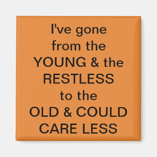 Frig-Fun-Magnet Magnet