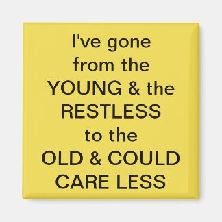 Frig-Fun-Magnet Magnet