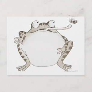 Frig sucht nach postkarte