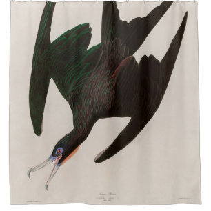 Frigate Pelican Birds of America Audubon Print Duschvorhang