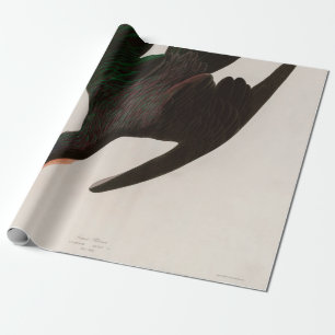Frigate Pelican Birds of America Audubon Print Geschenkpapier