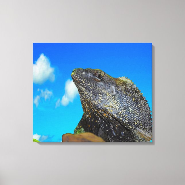 Frill halackte Lizard Leinwanddruck (Vorderseite)