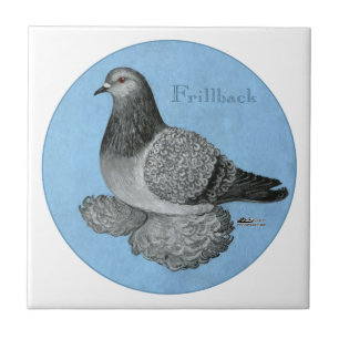 Frillback Blue Grizzle Pigeon Fliese