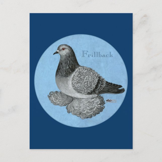 Frillback Blue Grizzle Pigeon Postkarte (Vorderseite)