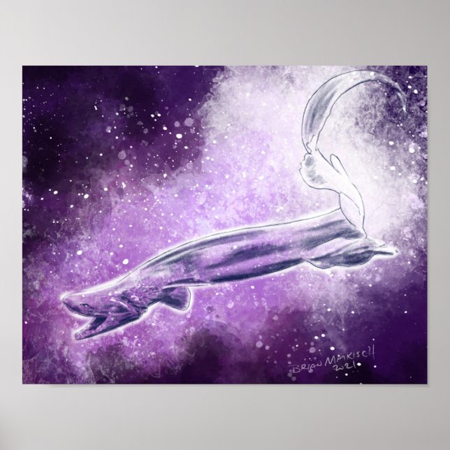 Frillenhai Poster (Vorne)