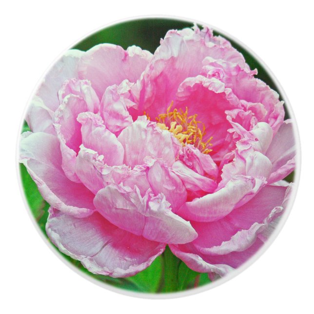 FRILLY PINK PEONY KERAMIKKNAUF (Vorderseite)