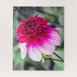 Frilly Pink und Magenta Dahlia mit zwei Tönen Puzzle