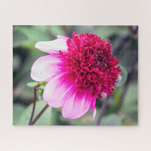 Frilly Pink und Magenta Dahlia mit zwei Tönen Puzzle