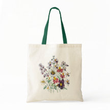 Fringeblumen und samtene Trompeten-Blume