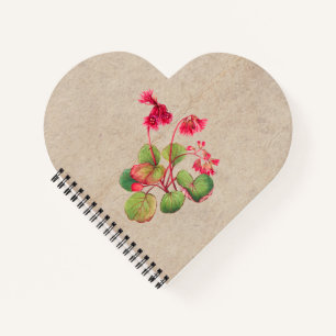 Fringed Galax Blume Notizbuch