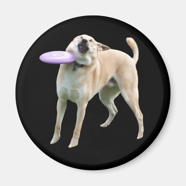 Frisbee Dog Meme Magnet (Vorne)
