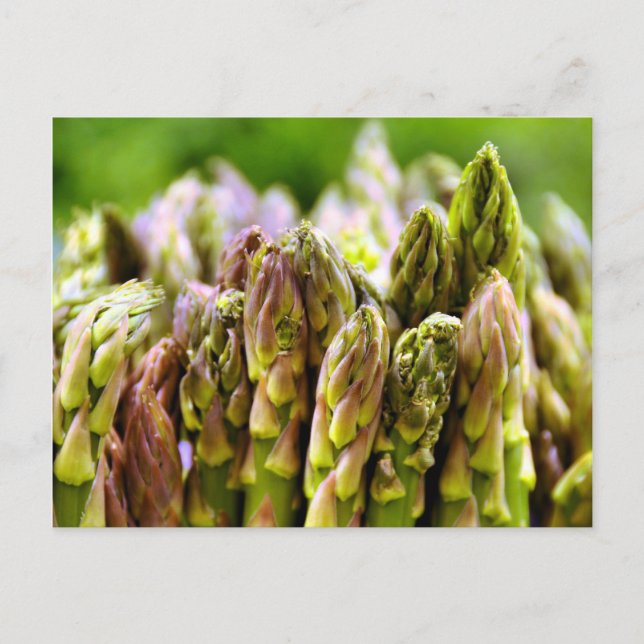 Frisch! Asparagus Postkarte (Vorderseite)