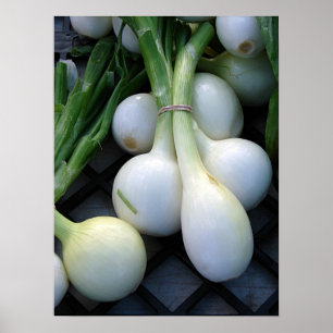 Frisch aus dem Betrieb Poster