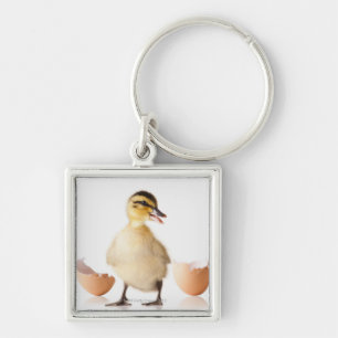 Frisch ausgebrütetes Küken neben defekter Schlüsselanhänger