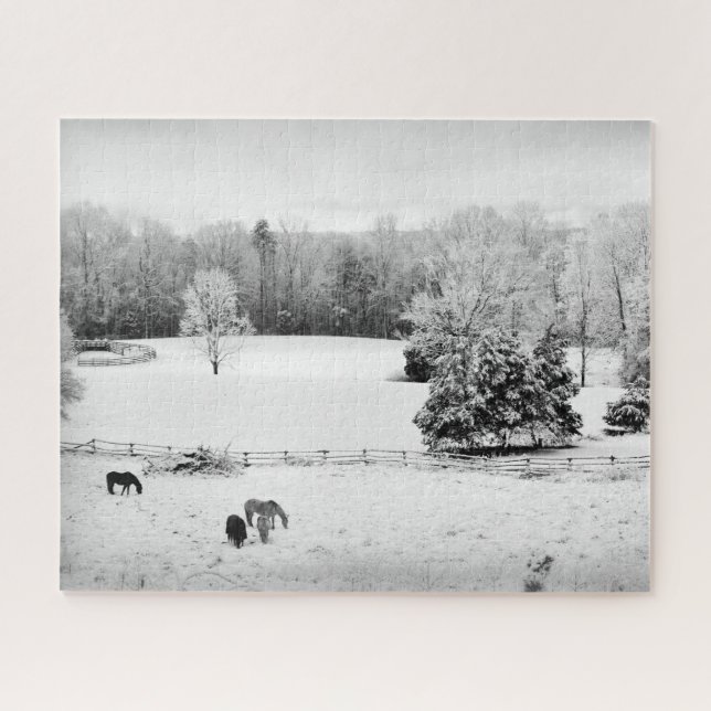 Frisch gefallener Schnee auf der Pferderasse - 16x Puzzle (Horizontal)
