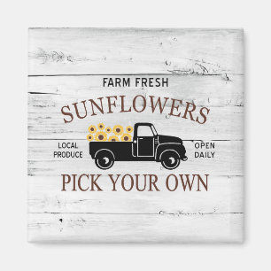 Frisch gepflückte Sonnenblumen Farm Truck Magnet
