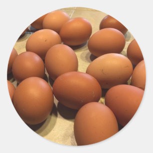 Frisch gezüchtete braune Eier Runder Aufkleber