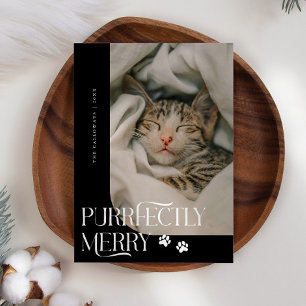 Frisch Merry Cat Foto Black Christmas Feiertagskarte