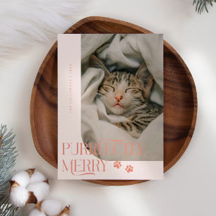 Frisch Merry Cat Foto Peach Christmas Feiertagskarte