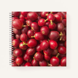 Frisch, reife rote Kaffee-Kirschen Notizbuch