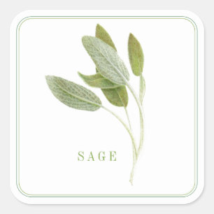 FRISCH SAGE Large Square Stickers