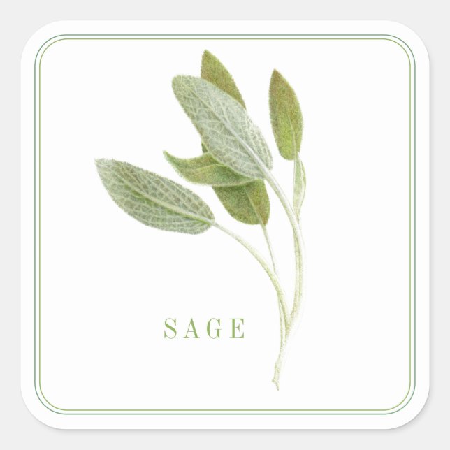 FRISCH SAGE Large Square Stickers (Vorderseite)