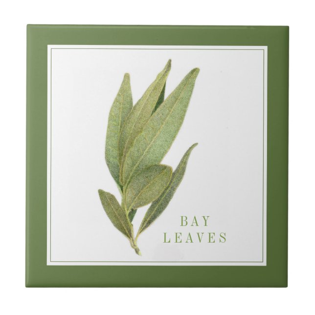 FRISCHE BAY BLÄTTER 4.25" Keramik Tile (+text) Grü Fliese (Vorderseite)
