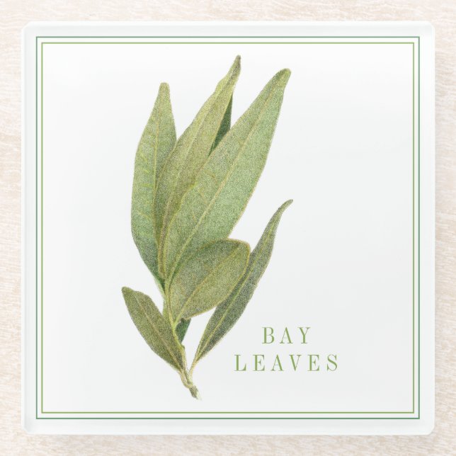 FRISCHE BAY-BLÄTTER Glasgetränkekasten (+text) Glasuntersetzer (Vorderseite)