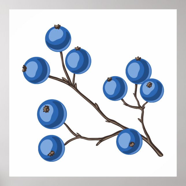 Frische Bluebeeren auf einem Branch-Poster Poster (Vorne)