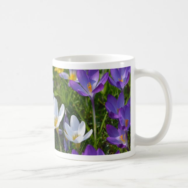 Frische Crocuses in verschiedenen Farben Kaffeetasse (Rechts)