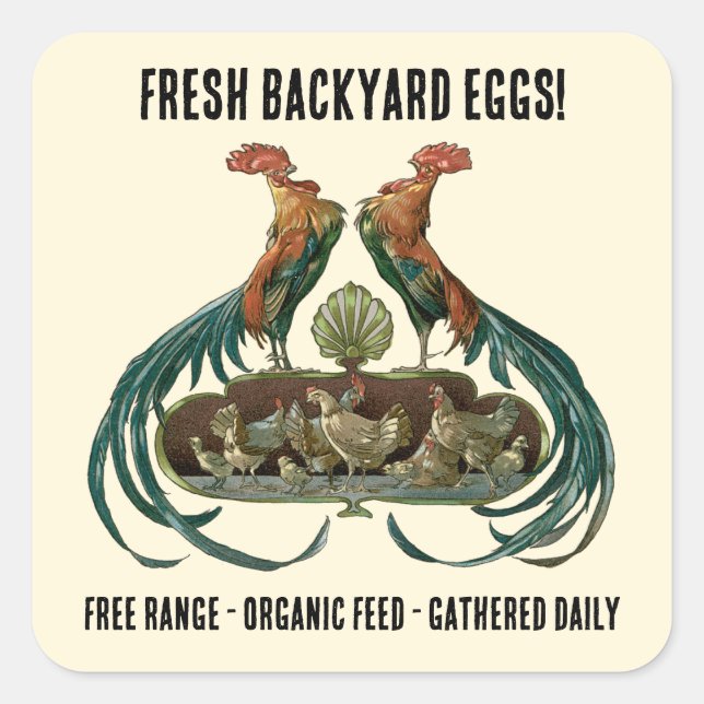 Frische Eier! Vintag Jugendstil Extravagante Hühne Quadratischer Aufkleber (Vorderseite)