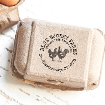 Frische Eier Vintages Hühnchen & Reis