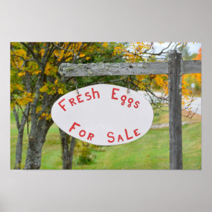 Frische Eier zu verkaufen in Vermont Schild