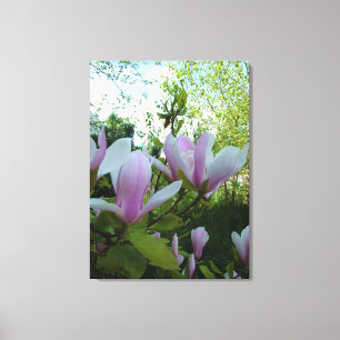 Frische, elegante Frühlingslicht lila magnolische Leinwanddruck
