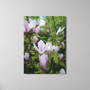 Frische, elegante Frühlingslicht lila magnolische Leinwanddruck