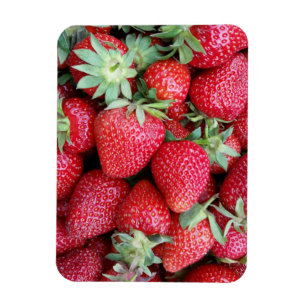 frische Erdbeeren Magnet