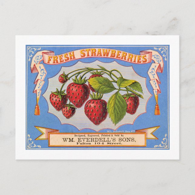 Frische Erdbeeren Postkarte (Vorderseite)