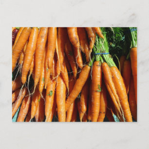 Frische Ernte Orange Karotten Farm-To-Table Gemüse Postkarte