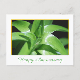 Frische Frühlingsgrüne Lilienblätter Frohes Jubilä Postkarte