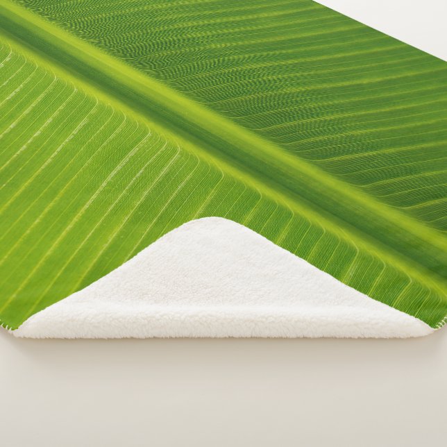 Frische grüne Bananenblätter Sherpadecke (3/4)