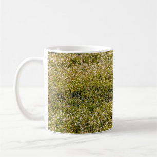 Frische grüne Rasenfläche mit Kakteen Kaffeetasse