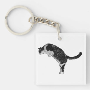 Frische Katzen-Akzente Schlüsselanhänger