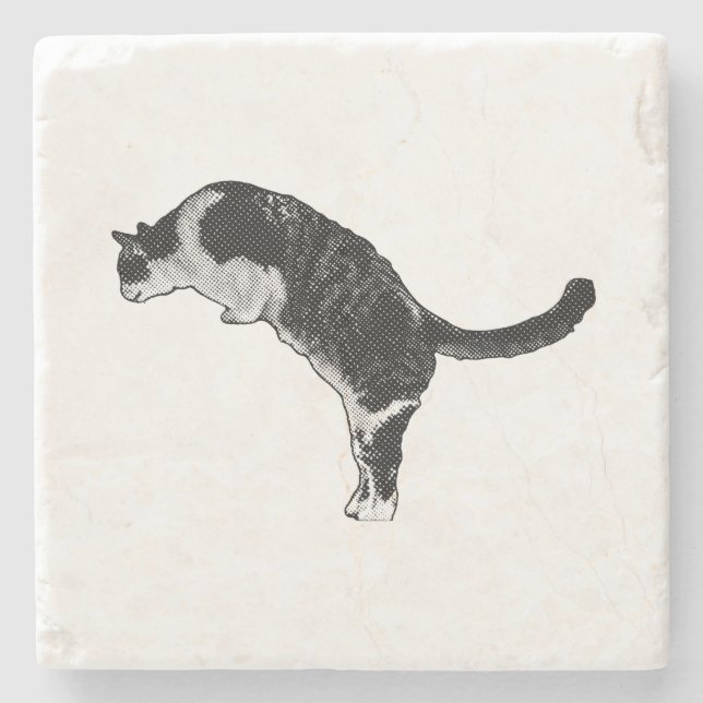 Frische Katzenenergie Steinuntersetzer (Vorderseite)
