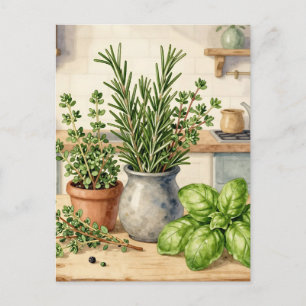 Frische Küchenkräuter Aquarell  Postkarte