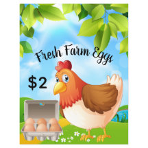 Frische landwirtschaftliche Eier Business Promotio