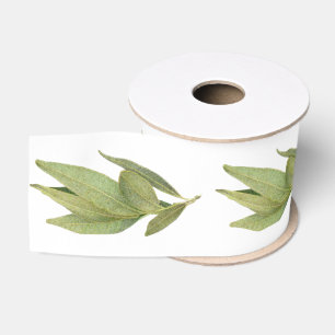 FRISCHE LORBEERBLÄTTER 7,5 cm breites Grosgrainban Ripsband