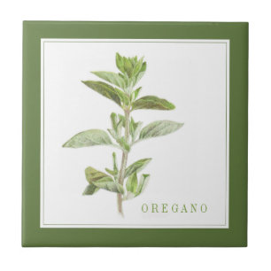 FRISCHE OREGANO 4.25 Keramik Tile (+text) Grün Fliese